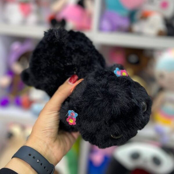 گربه چشم تیله ای
