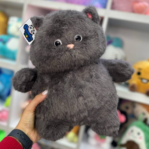 گربه چشم تیله ای خاکستری